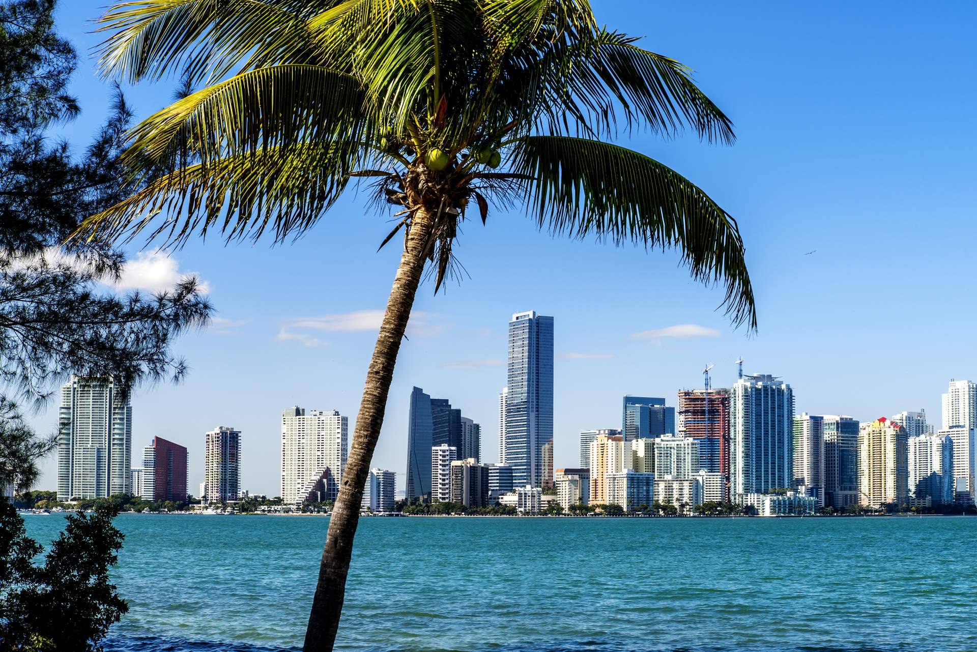 UTG Miami, una inmobiliaria con especialistas en la compra y venta de apartamentos en Miami